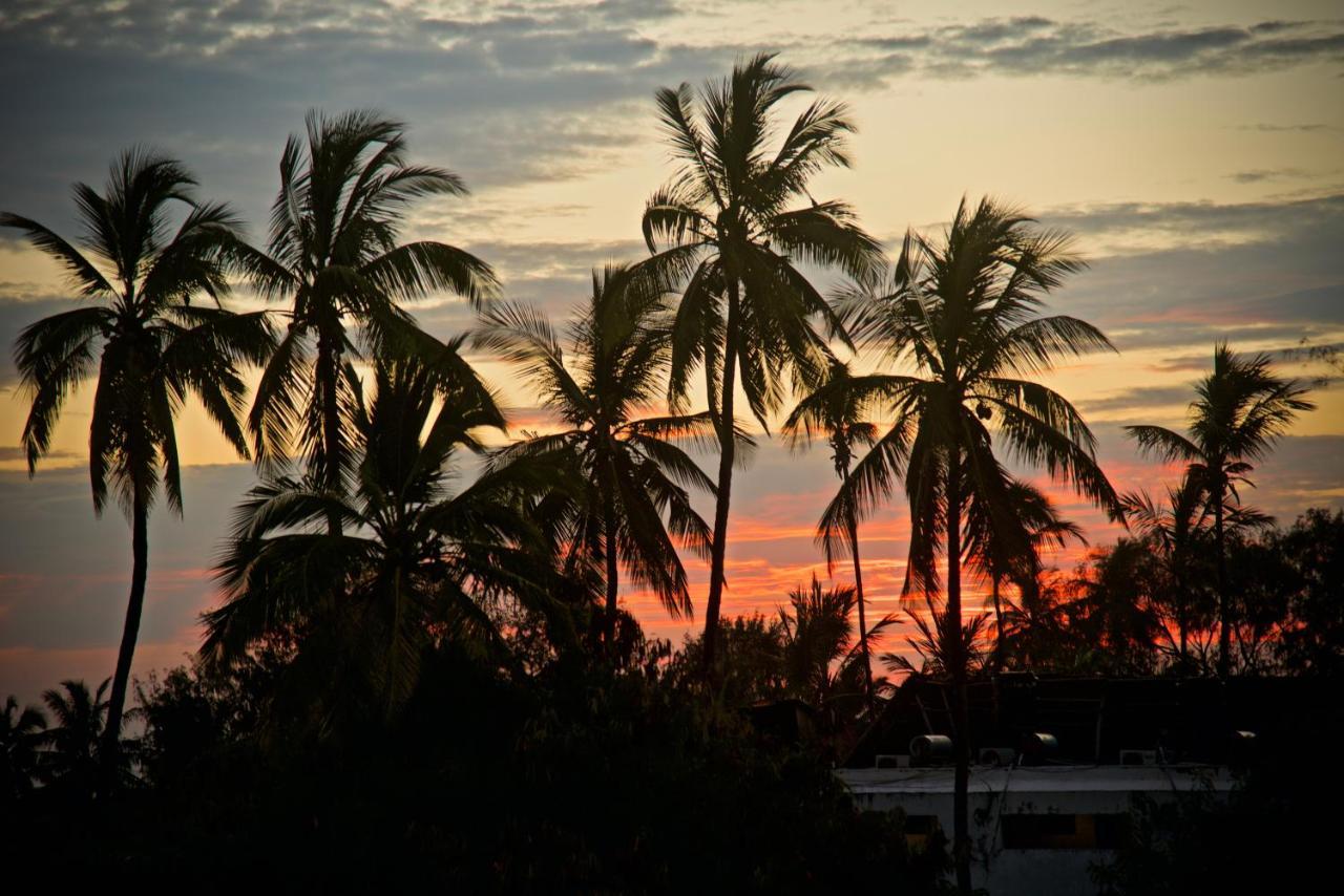 Dada Beach Lodge Nungwi Bagian luar foto